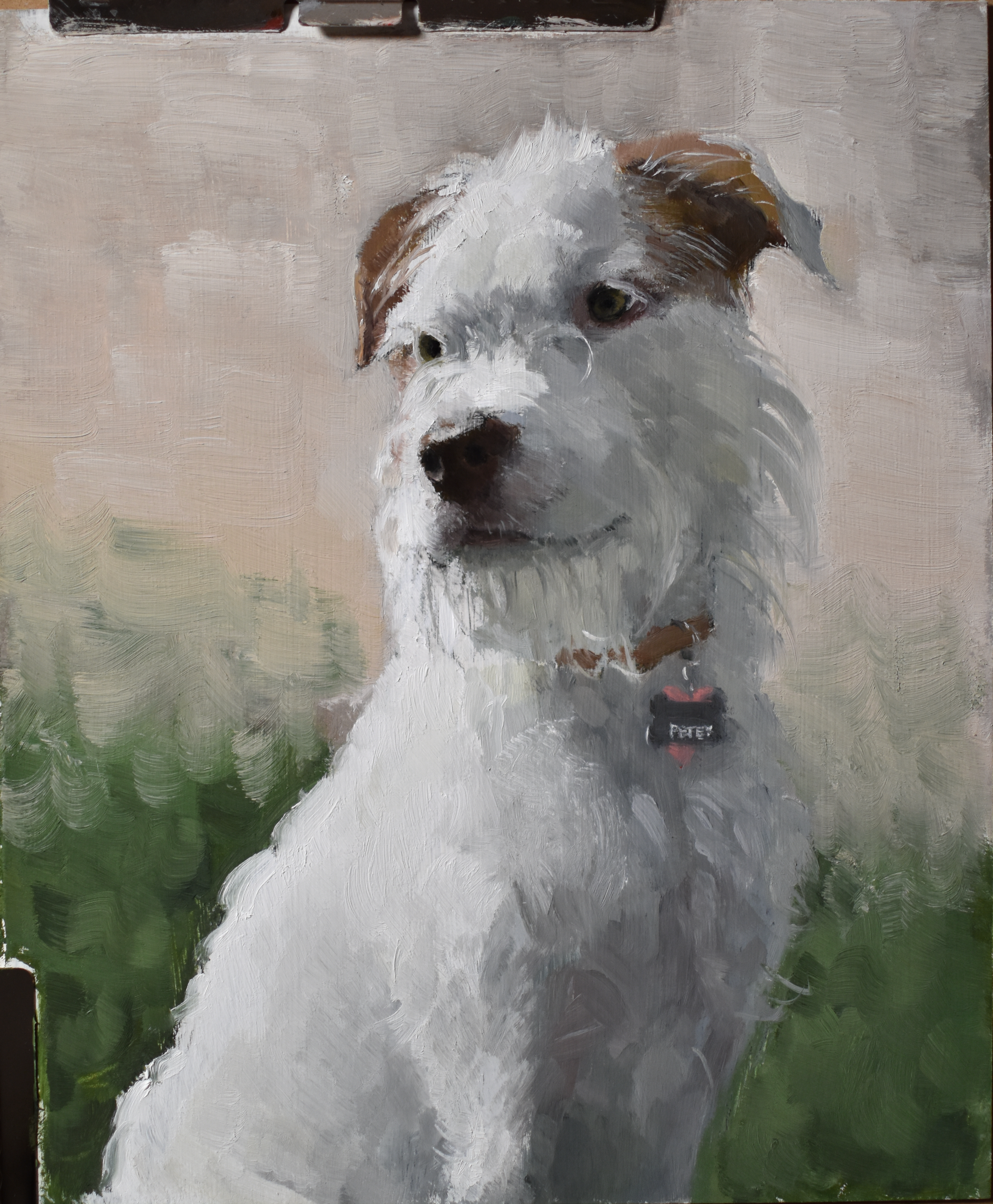 Most recent blog image